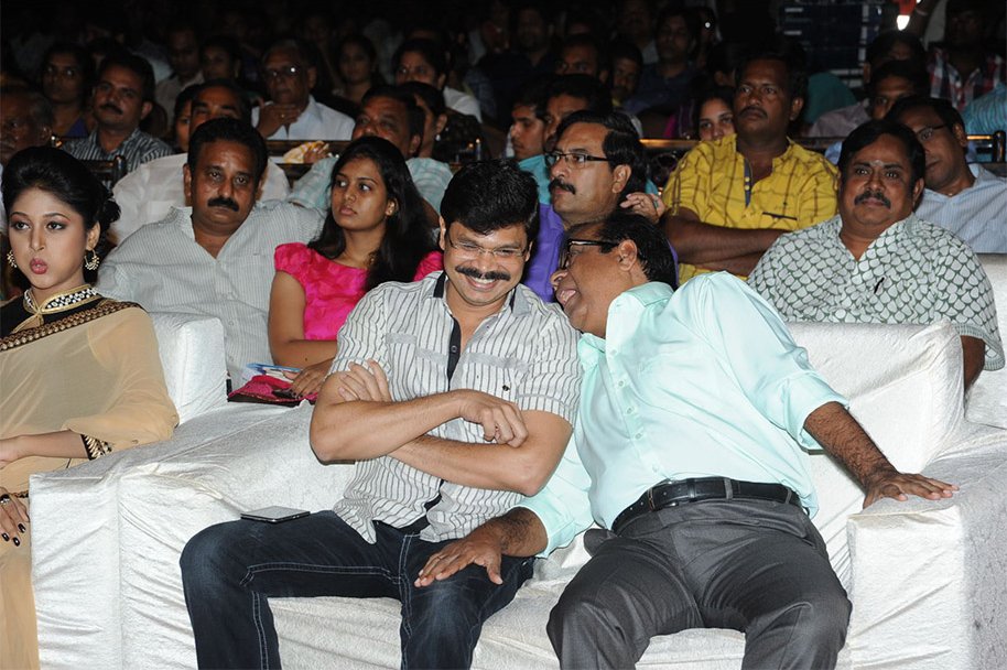 Joru-Movie-Audio-Launch